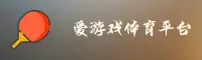 使用指南与常见问题